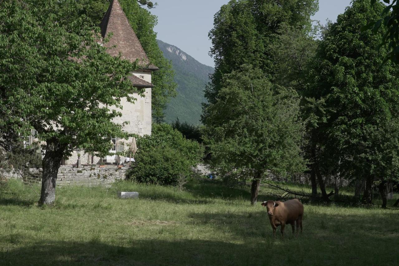 Domaine Du Tres-Haut - Chateau De Montanges 외부 사진