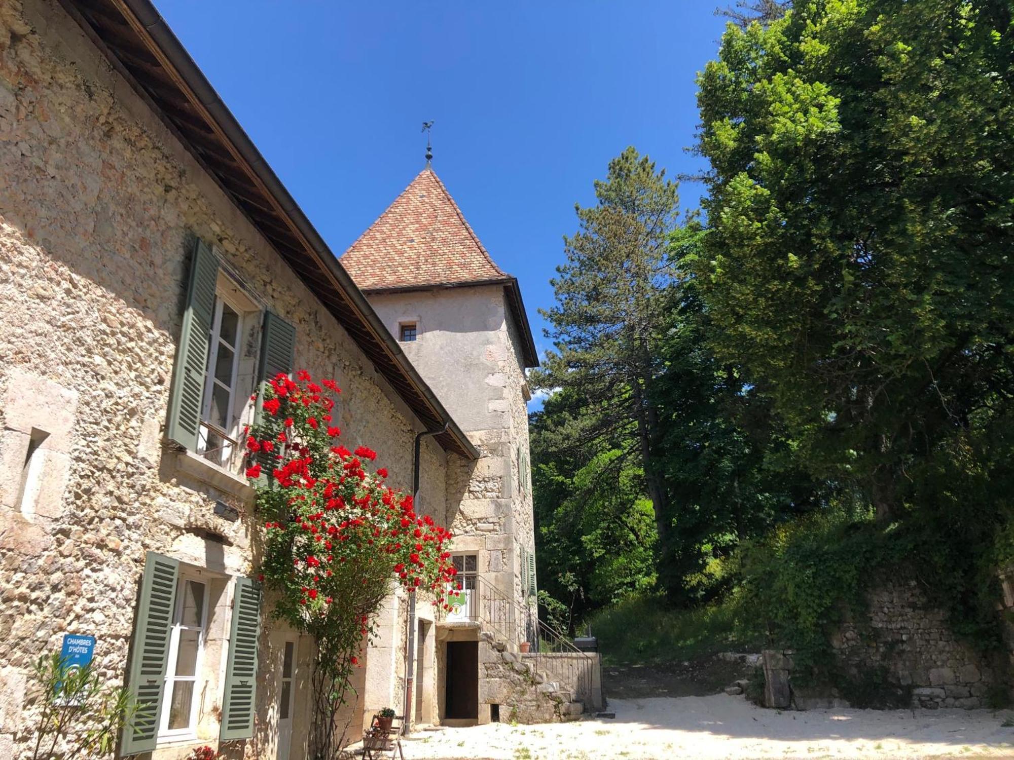 Domaine Du Tres-Haut - Chateau De Montanges 외부 사진